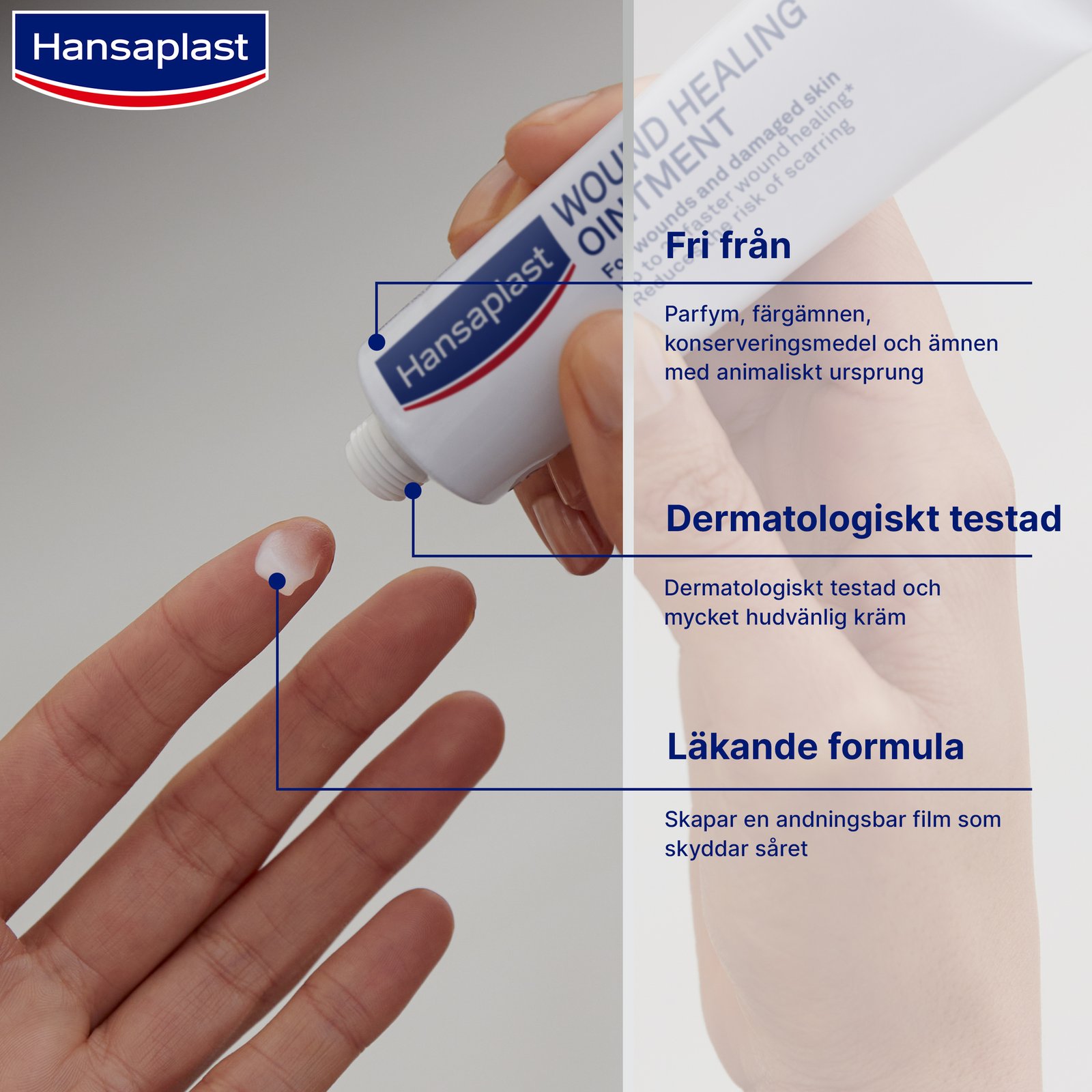 Hansaplast Wound Healing Ointment Salva 20 g