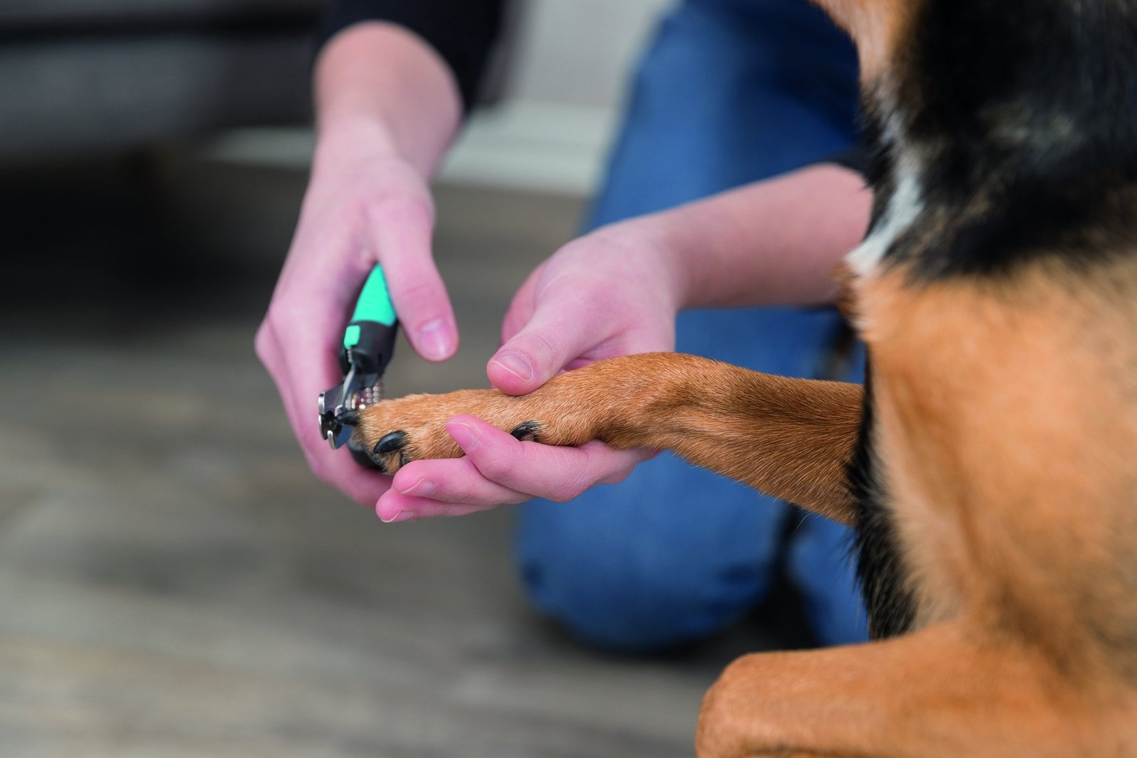 TRIXIE Klotång de Luxe Liten 12,5 cm