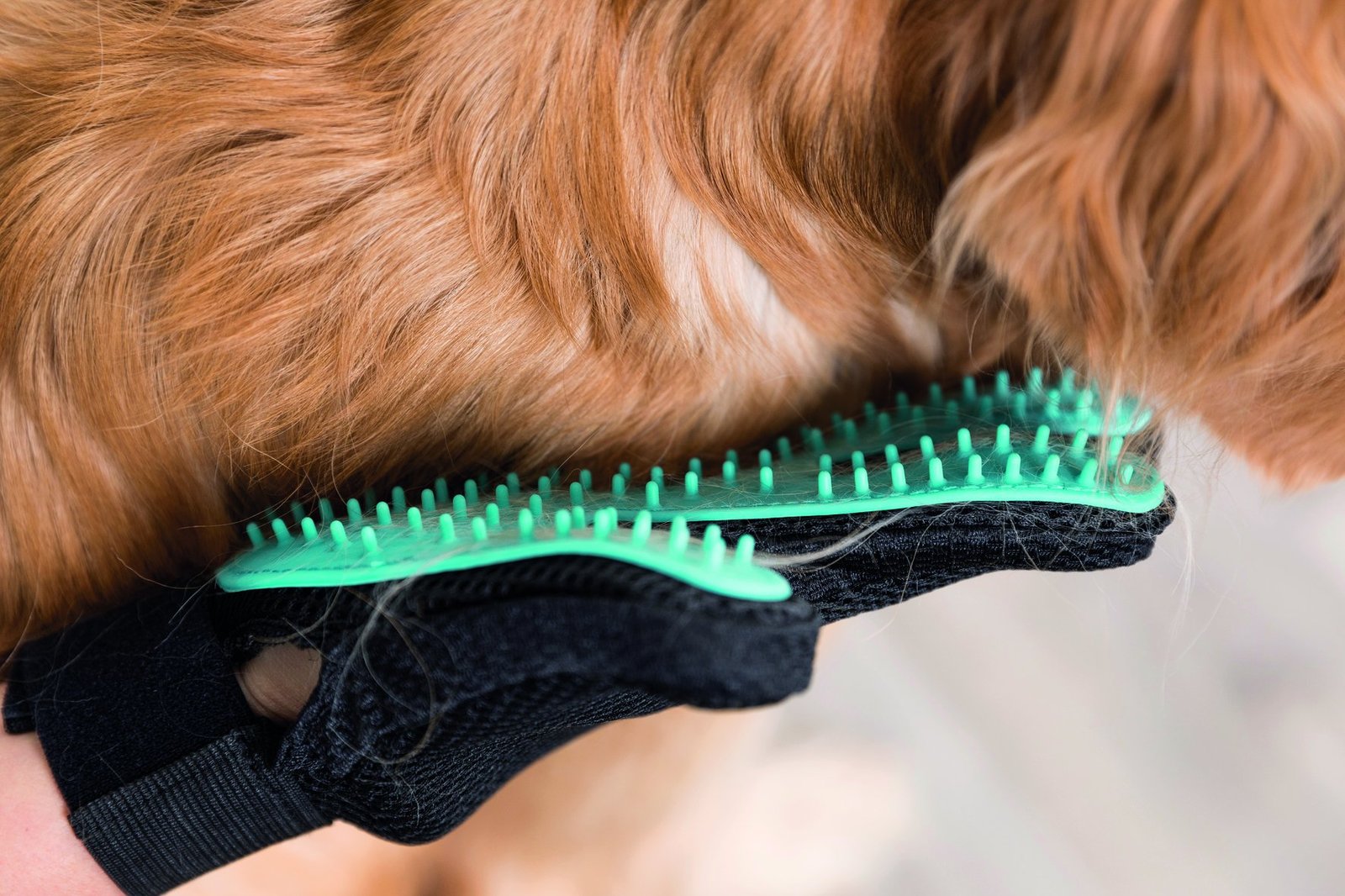 TRIXIE Pälsvårdshandske Höger 16 x 24 cm Blå 1 st