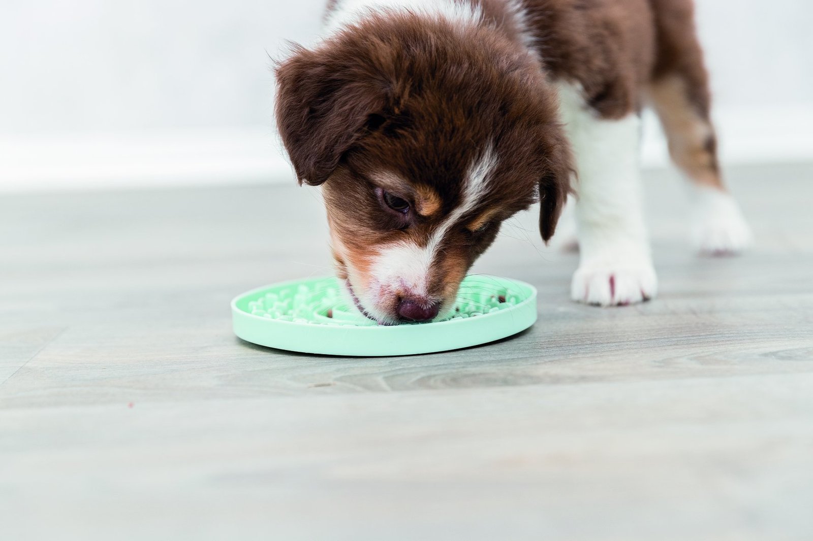 Trixie Junior Lick'n'Snack Platta 1 st