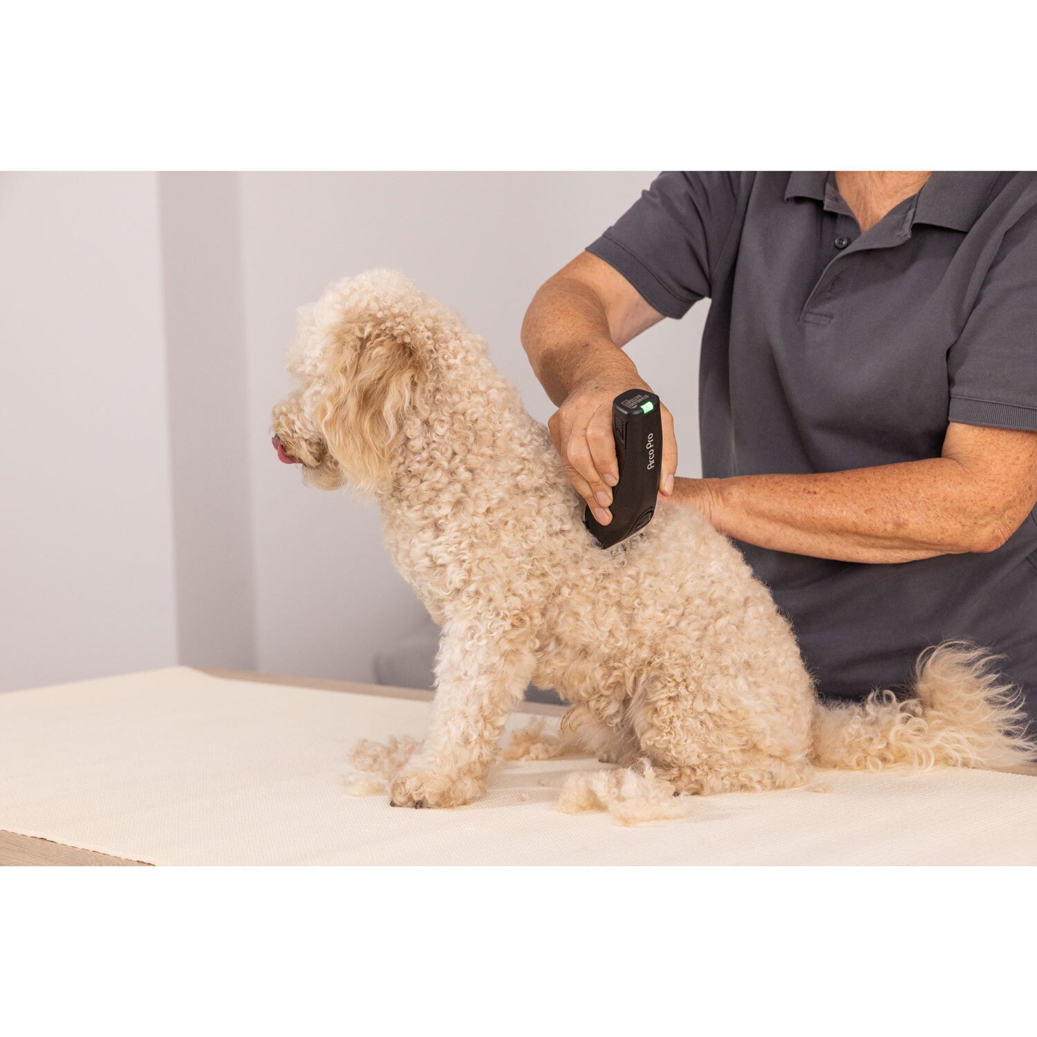 Wahl ArcoPro Clipper