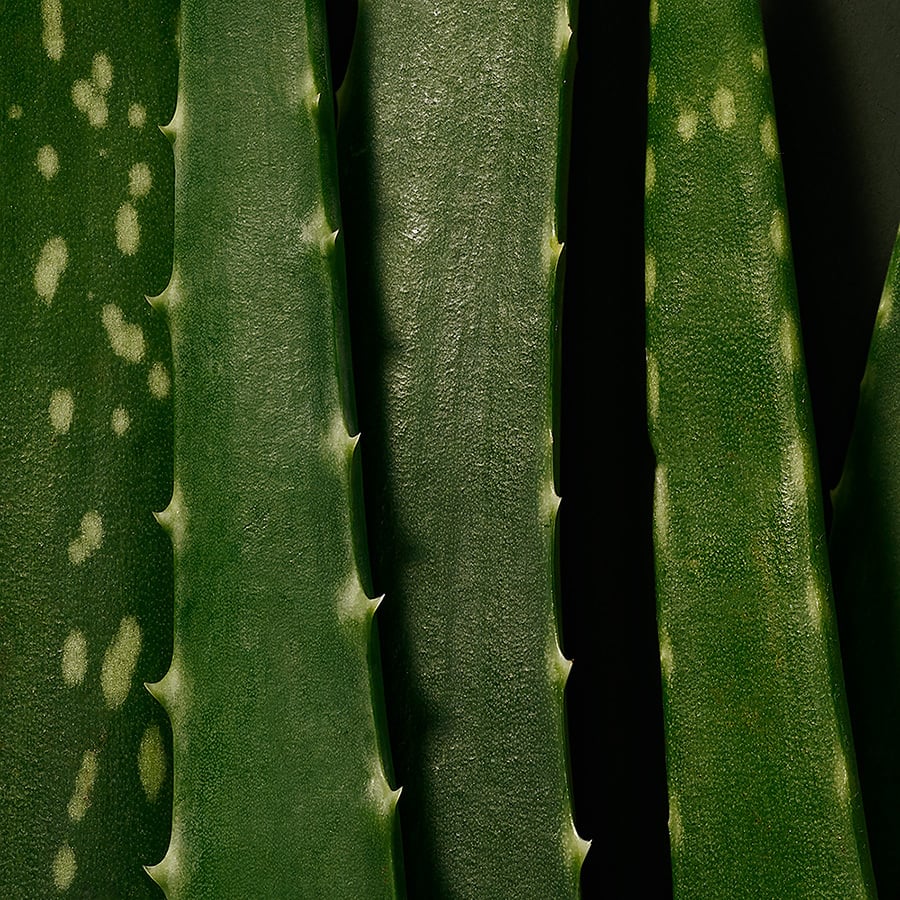 BABOR Microbiomic Moisture Glow Serum 30ml