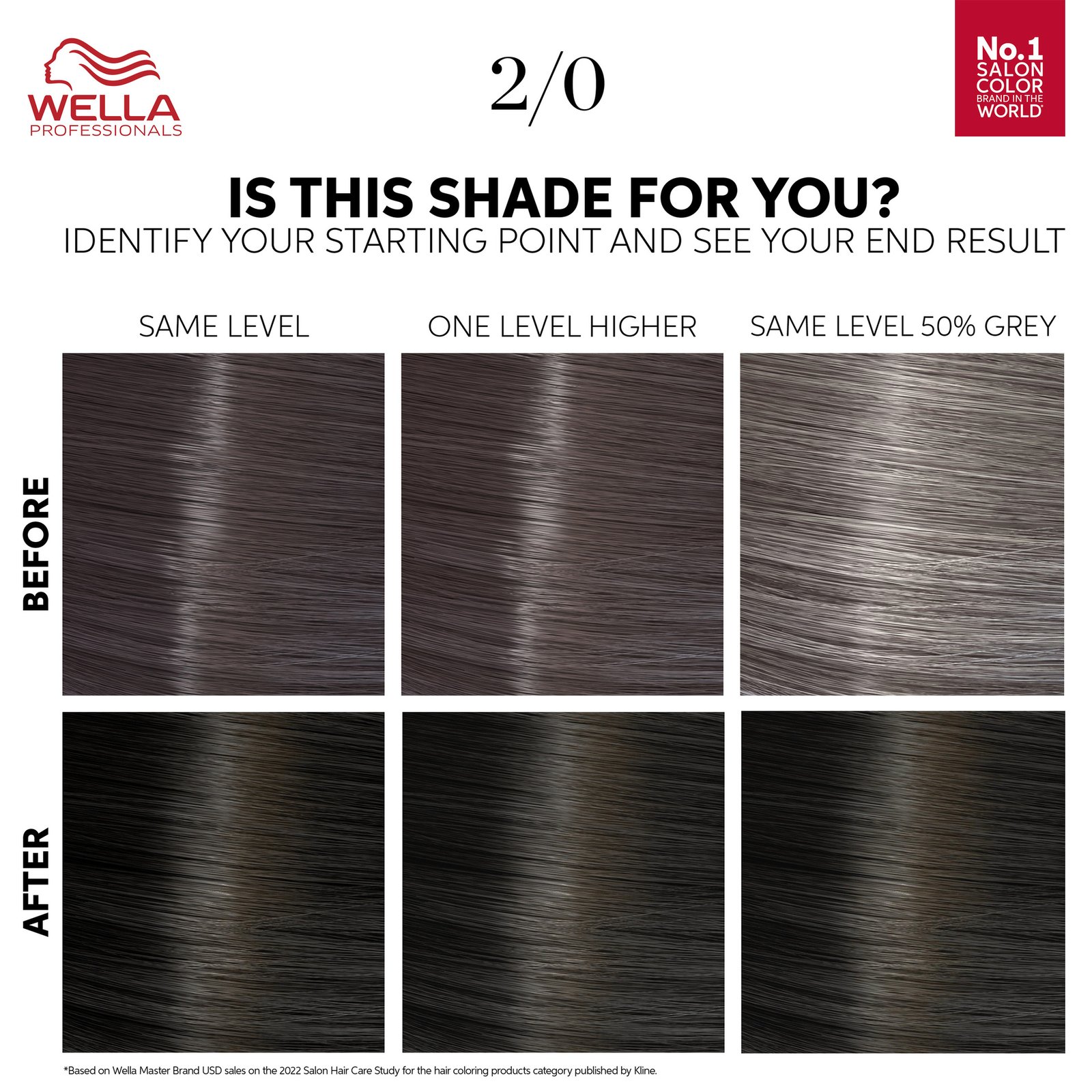 Wella Professionals Color Touch Pure Naturals Black 2/0 130 ml