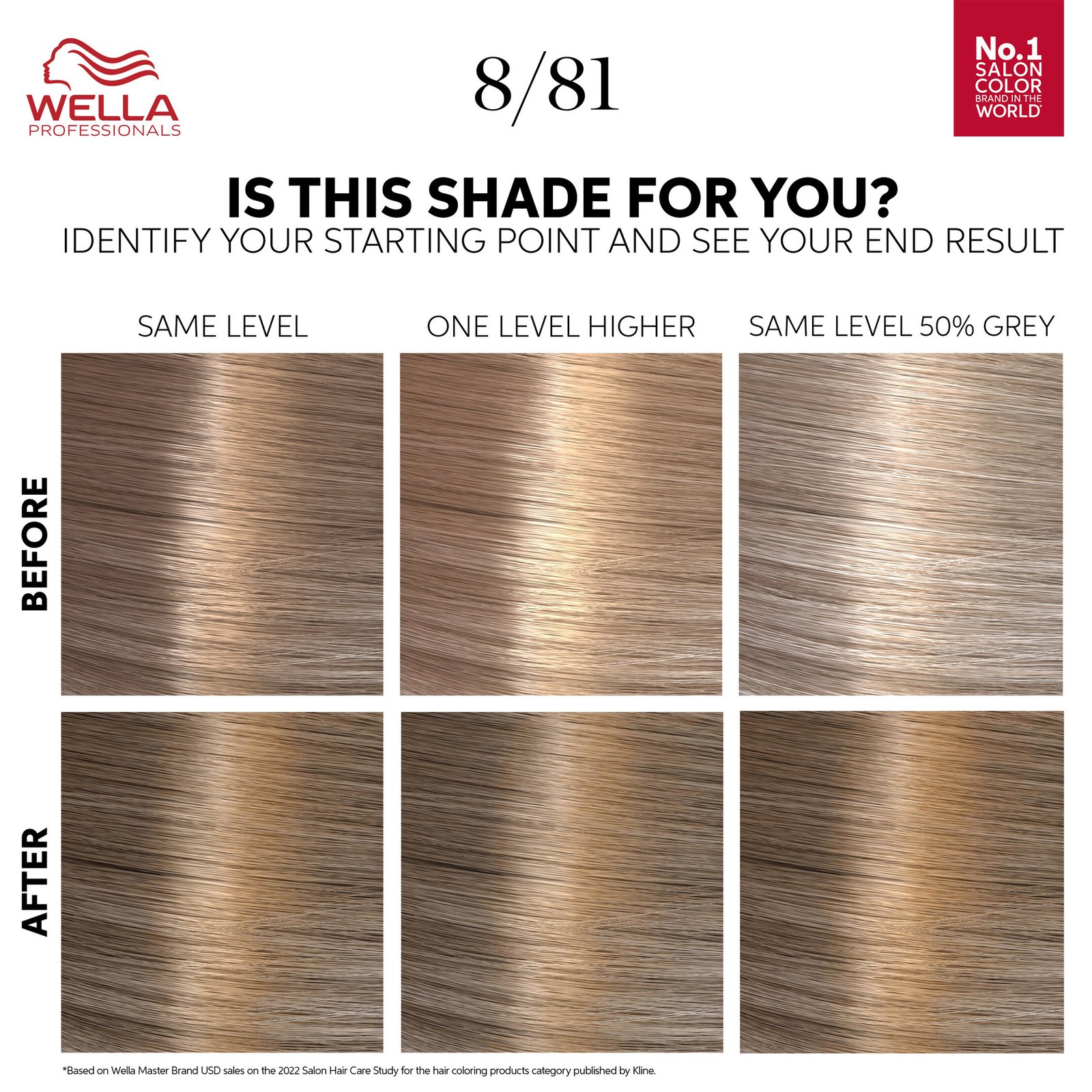 Wella Professionals Color Touch Rich Natural Pearl Blonde 8/81 130 ml