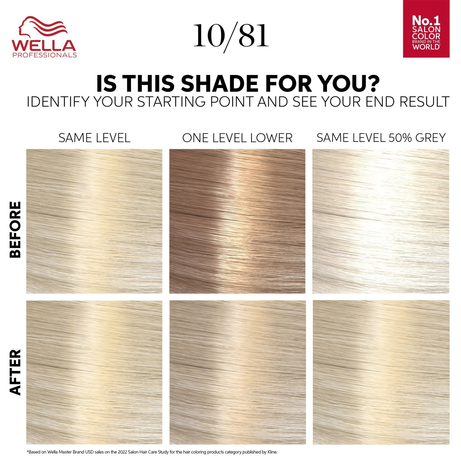 Wella Professionals Color Touch Rich Natural Platinum Blonde 10/81 130 ml