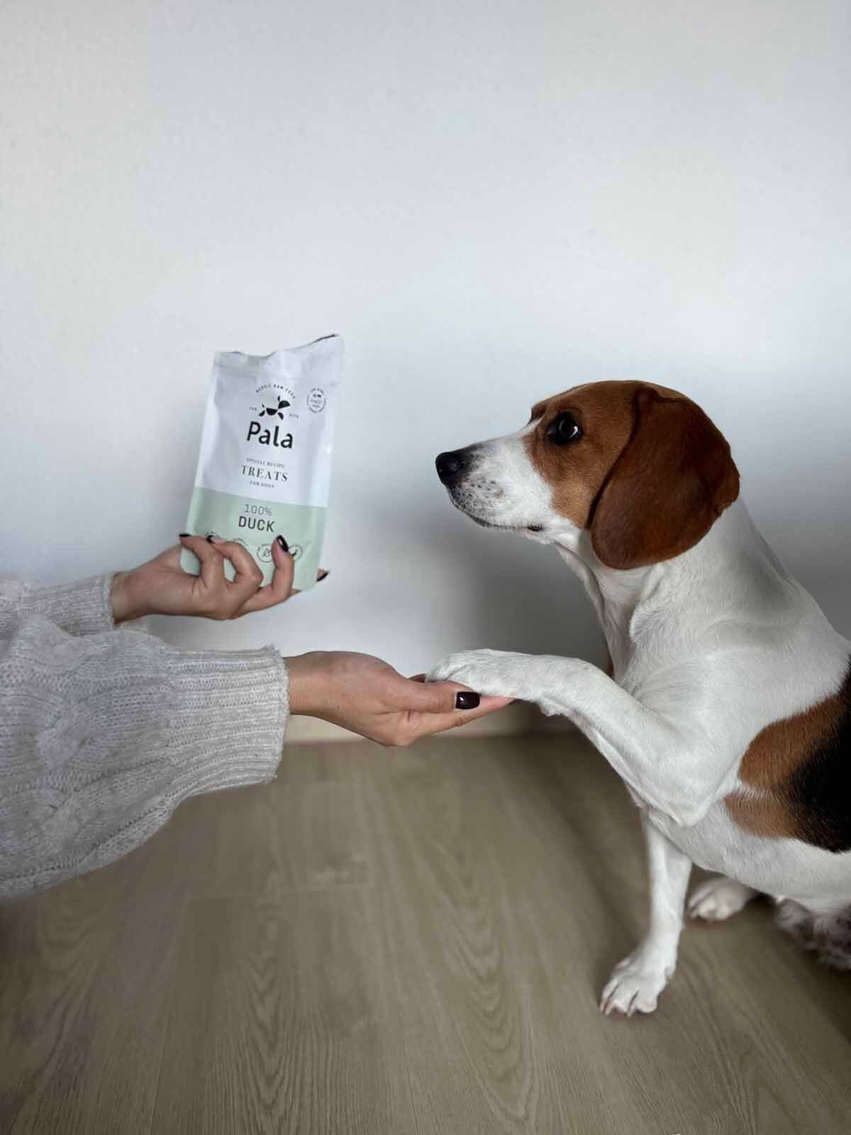 PALA Treats 100% Duck 100 g