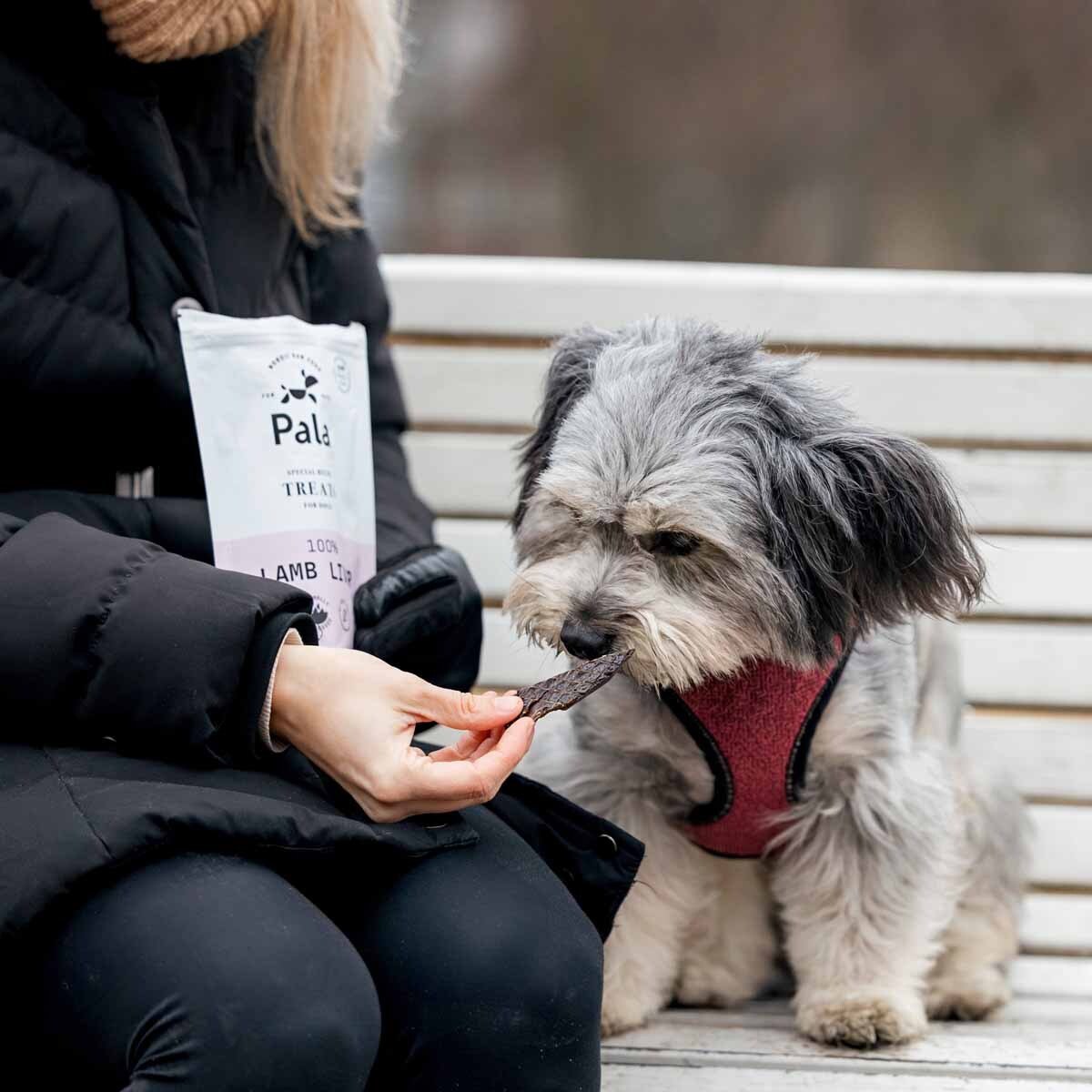 PALA Treats 100% Lamb Liver 100 g