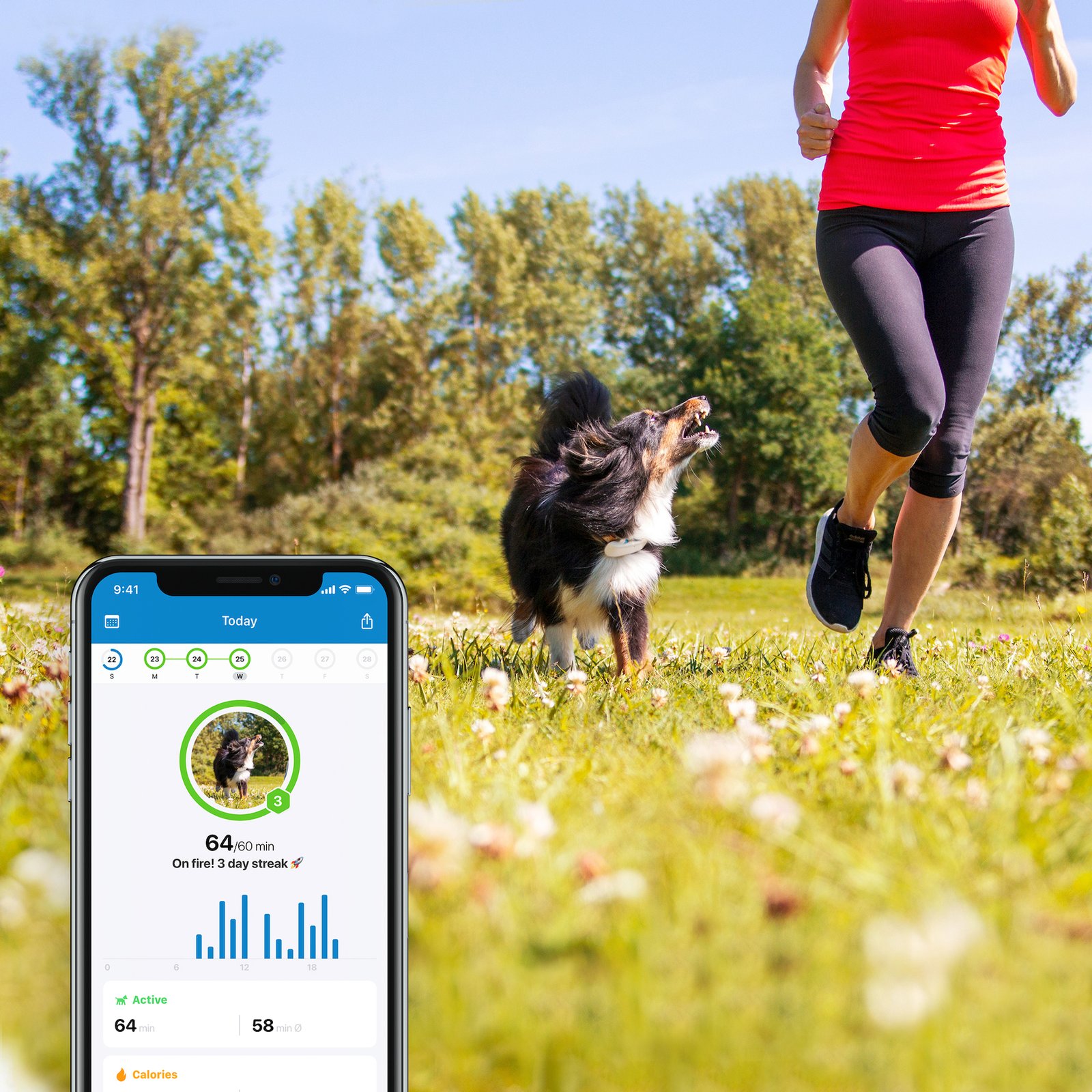 Tractive Dog GPS Tracker LTE 1 st