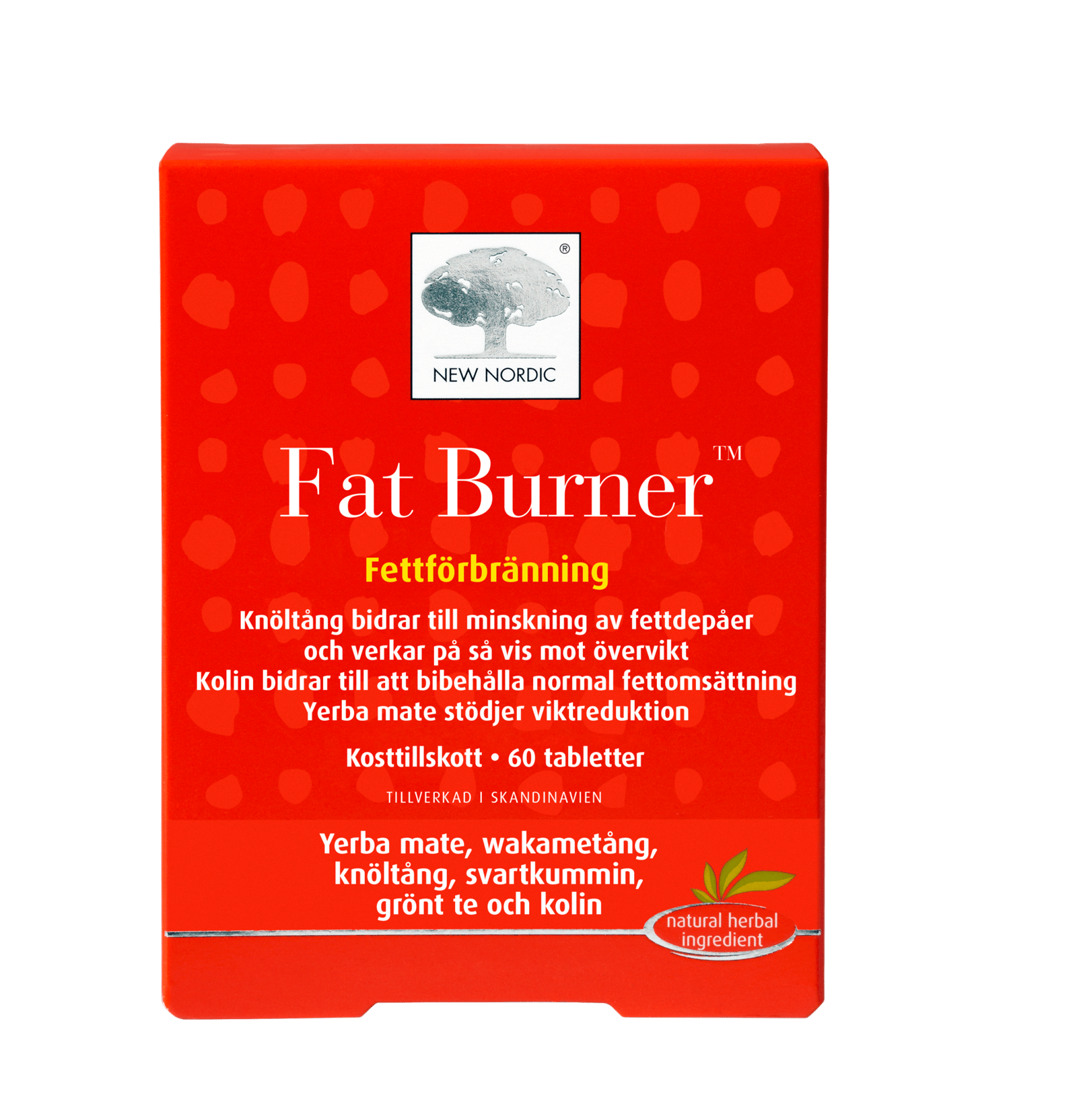 Fat Burner Fettförbränning 60 tabletter