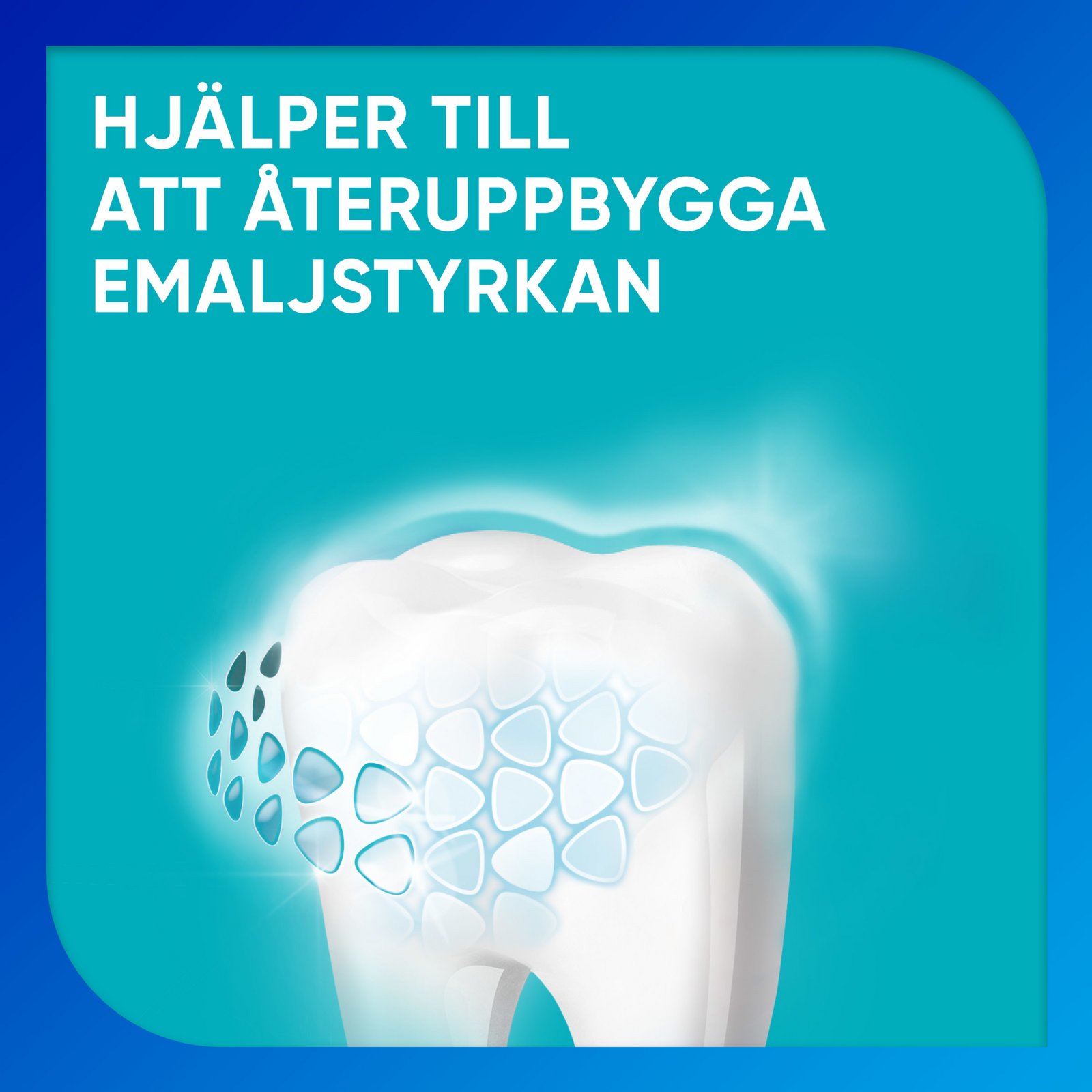 Sensodyne Sensitivity & Gum Enamel Tandkräm 75 ml