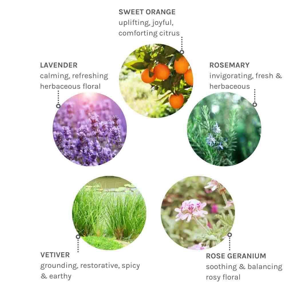 Evolve Organic Beauty Pure Tranquility Hand & Body Lotion 250 ml