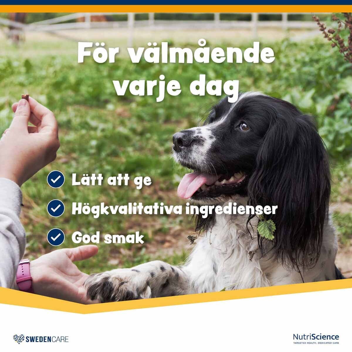 Swedencare Wellichews Joint Medium/Large Dog 60 st