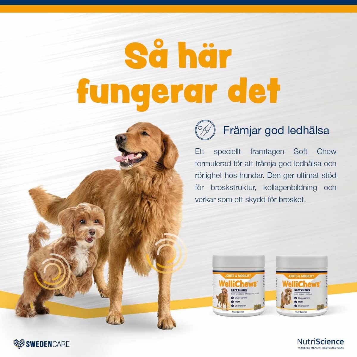 Swedencare Wellichews Joint Medium/Large Dog 60 st