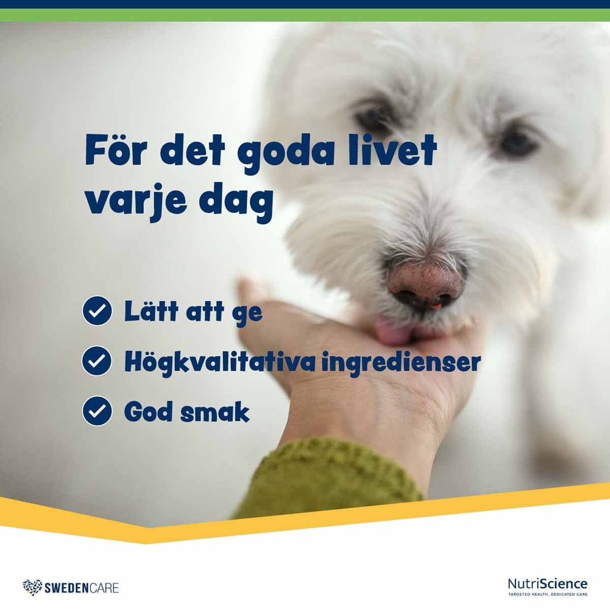 Swedencare Wellichews Digestion Medium/Large 60 st
