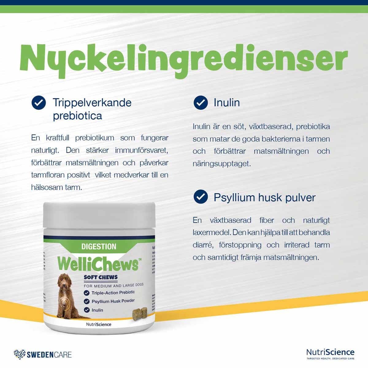 Swedencare Wellichews Digestion Medium/Large 60 st