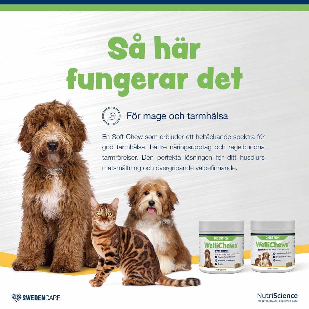 Swedencare Wellichews Digestion Medium/Large 60 st