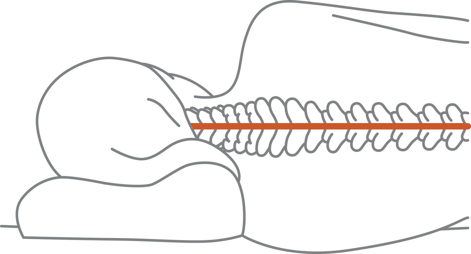 TEMPUR Sovkudde ErgoPlus Small SmartCool