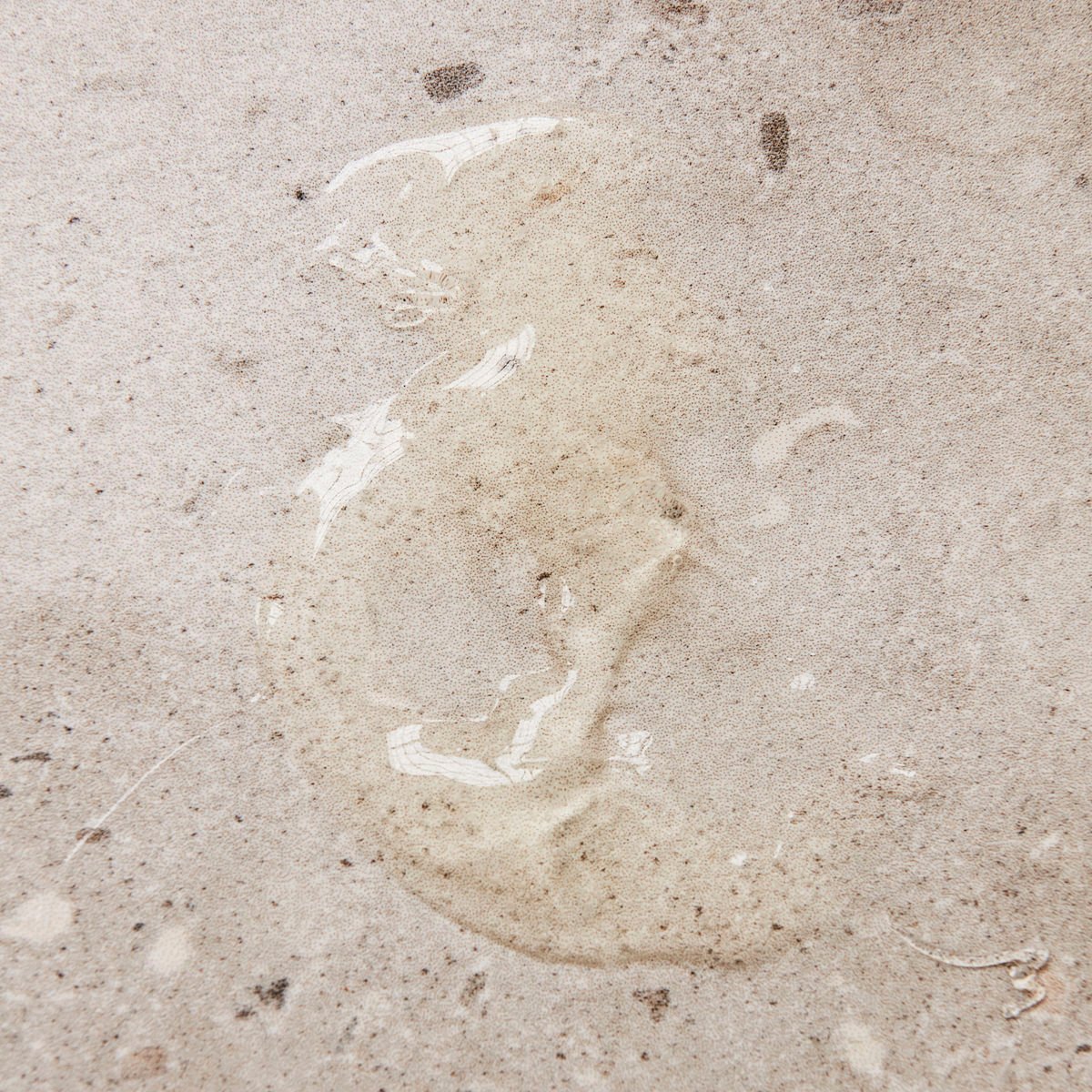 meraki Hand Soap Meadow Bliss 490 ml