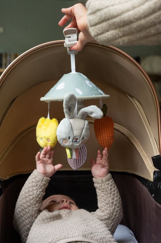 Taf Toys Garden Pram Mobile