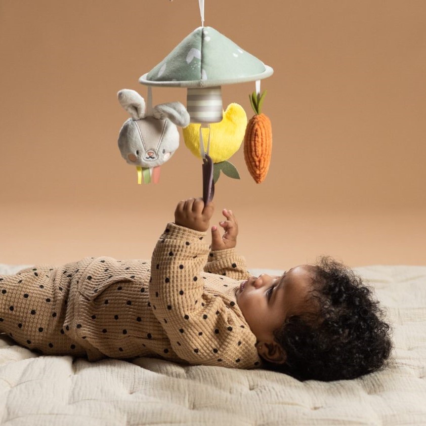 Taf Toys Garden Pram Mobile