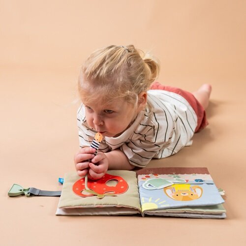 Taf Toys Quiet Busy Book