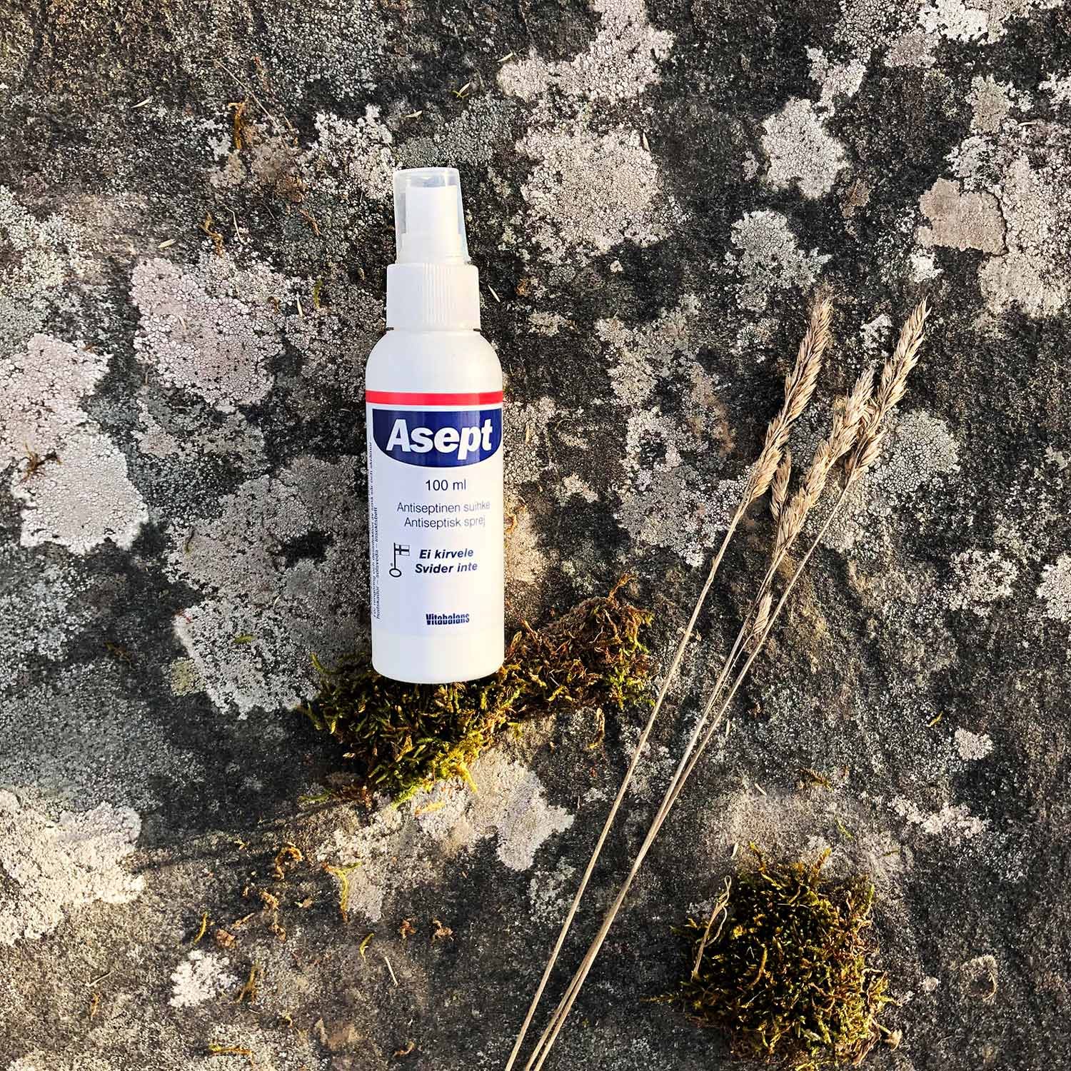 Asept Multifunktionell Antiseptisk Spray 100 ml