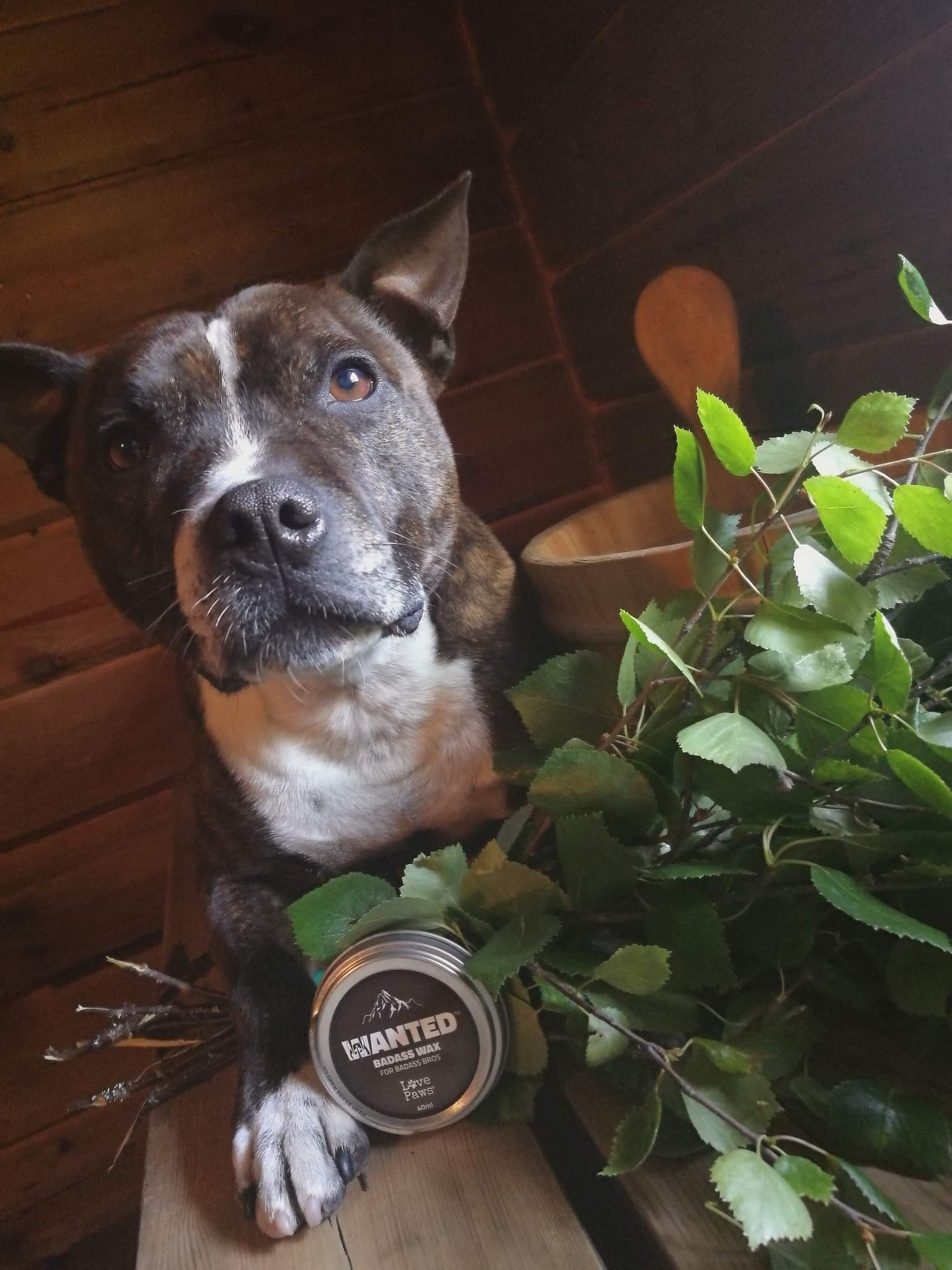 LovePaws Badass Tassalva 40 ml