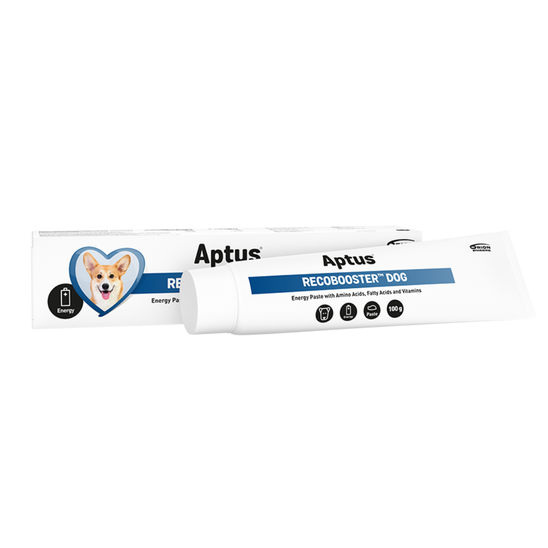 Aptus Recobooster Dog 100g