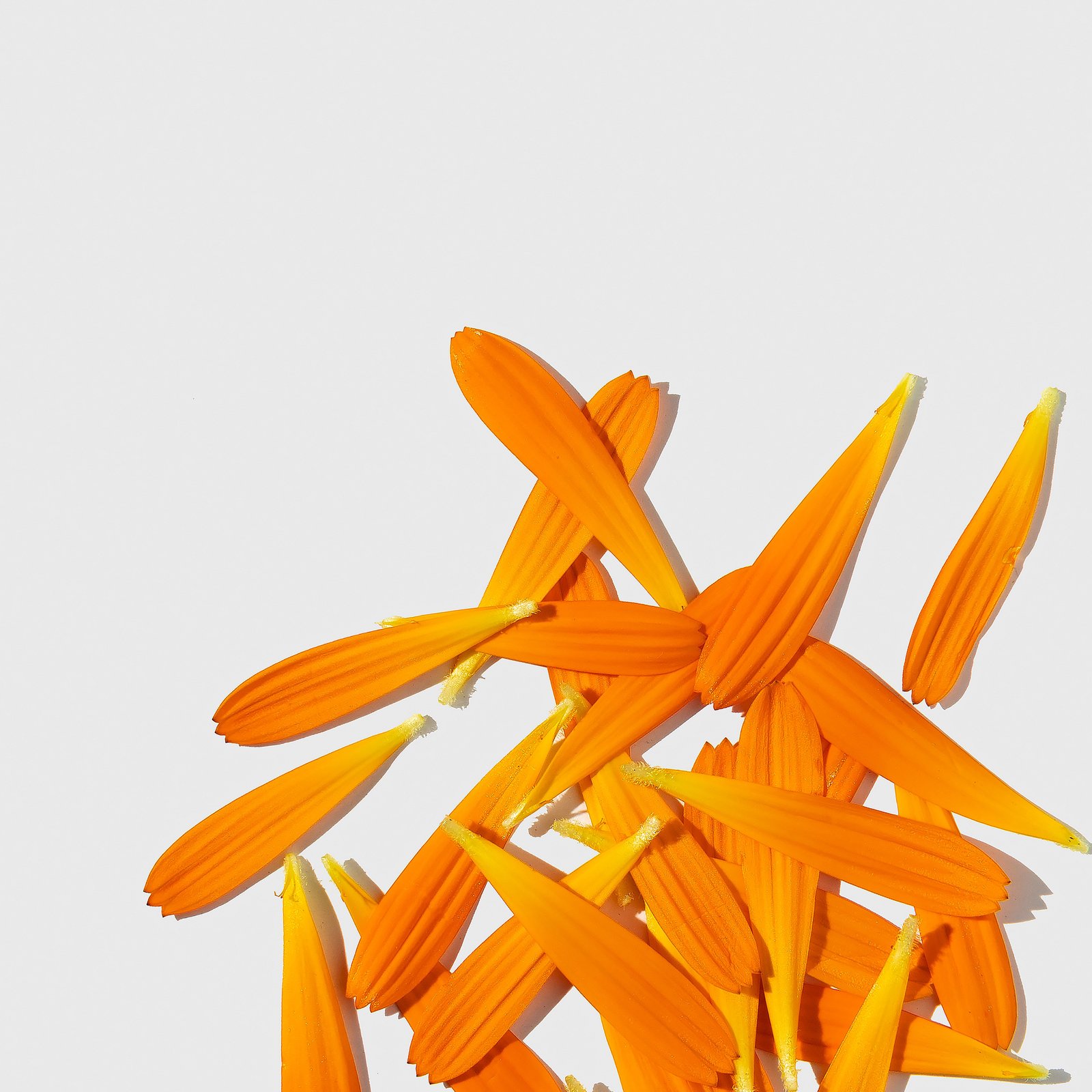 Daily Glycolic Cleanser 150 ml