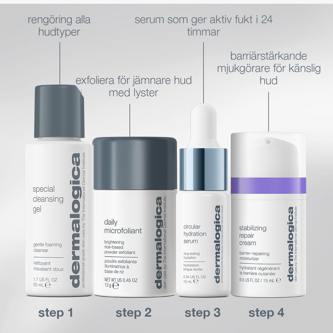Dermalogica Home for the Holidays