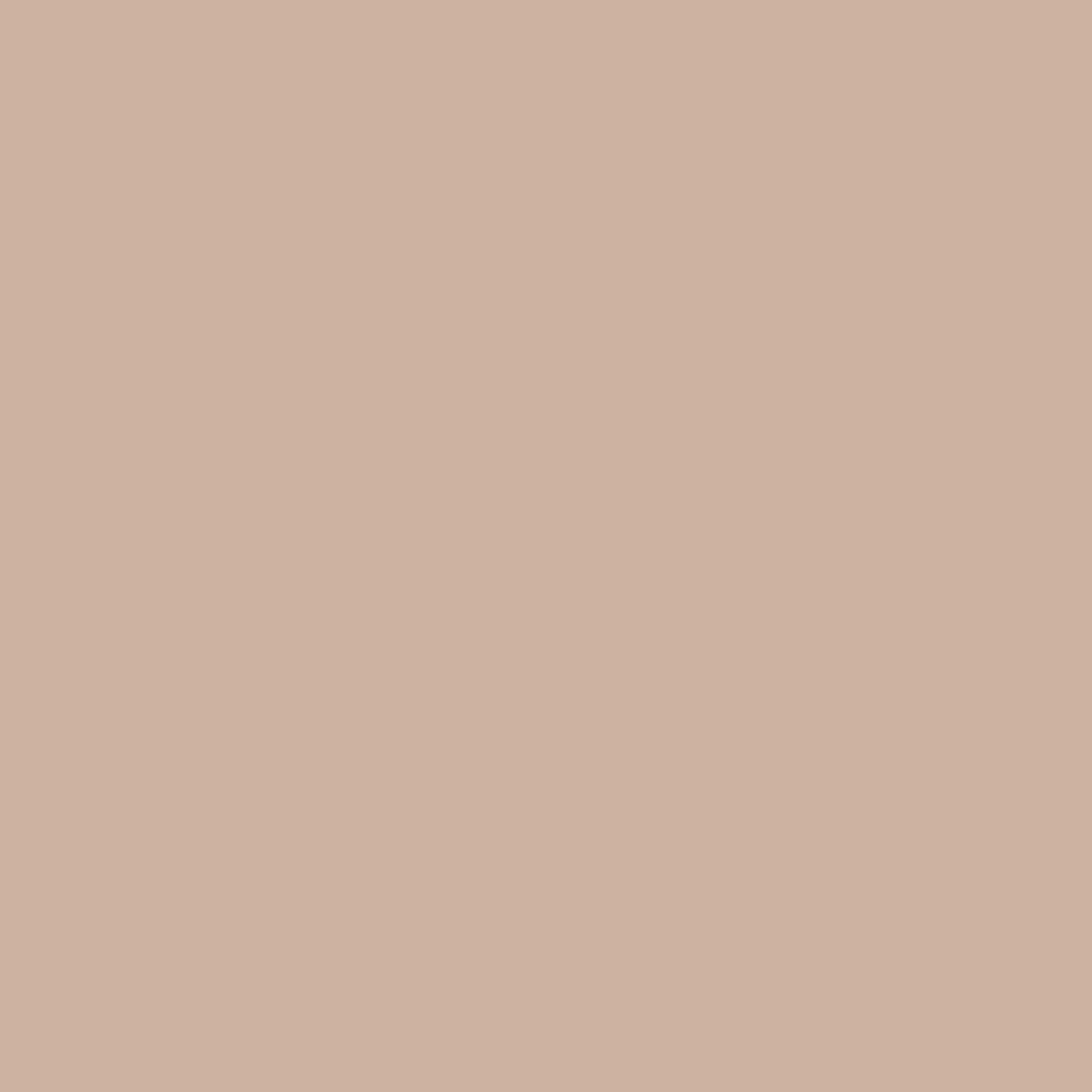 Anastasia Beverly Hills Brow Powder Duo Taupe 1 st