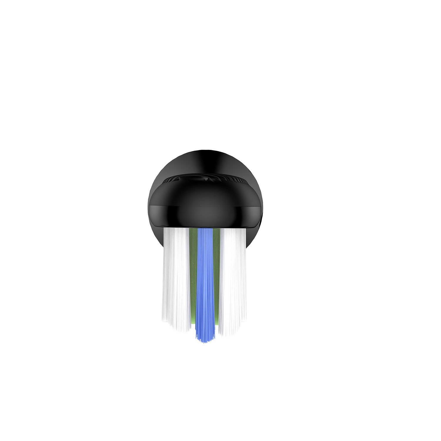 OcleanBorsthuvud Professional Clean 2-Pack Svart