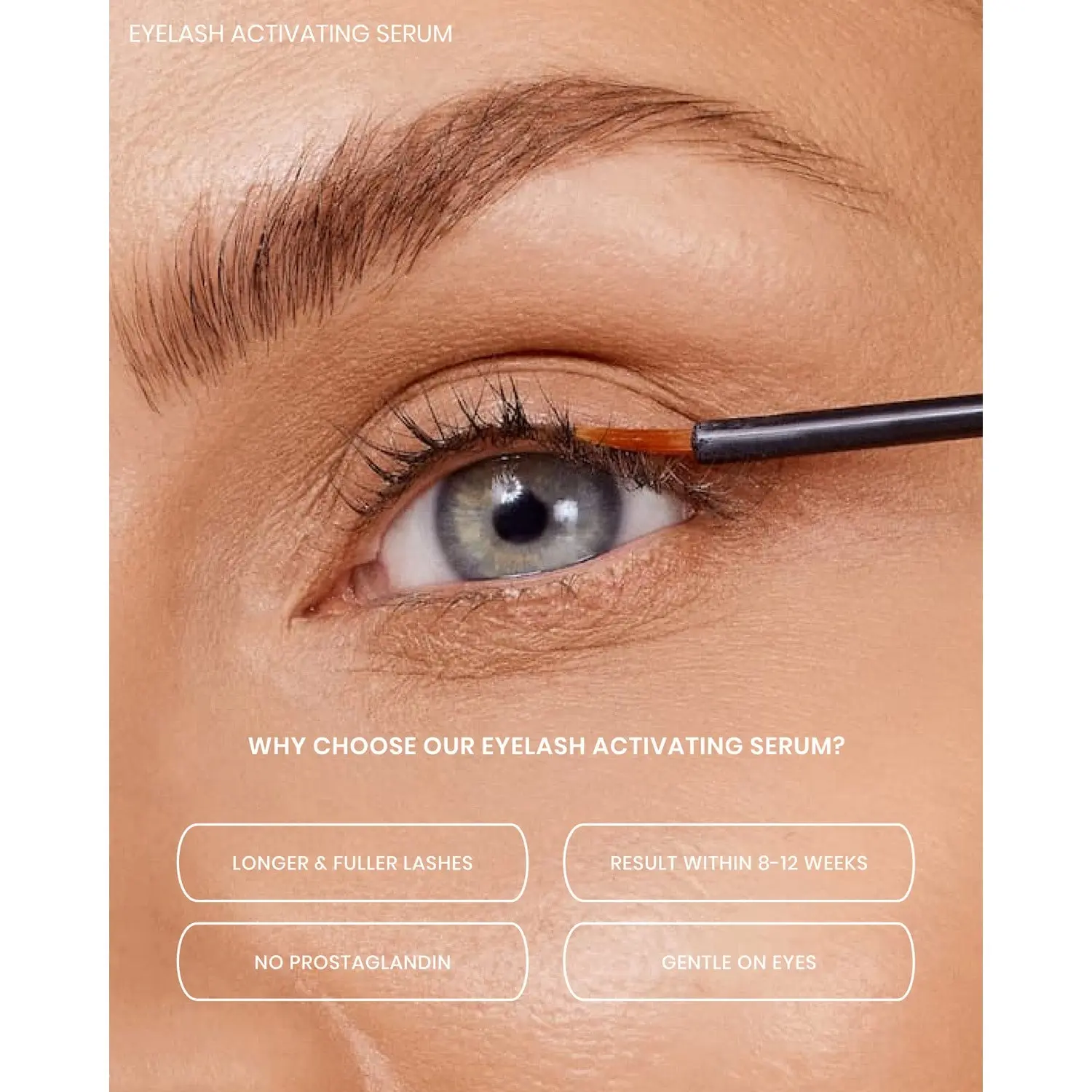 Lenoites Complete Lash Kit Black
