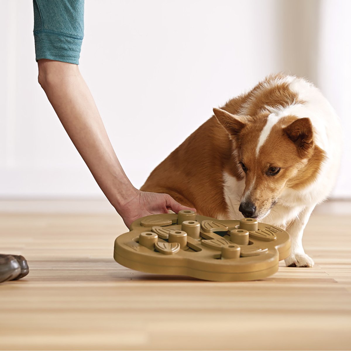 Nina Ottosson Dog Hide N Slide Komposit Naturel