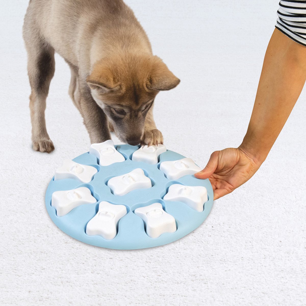 Nina Ottosson Puppy Smart Blå