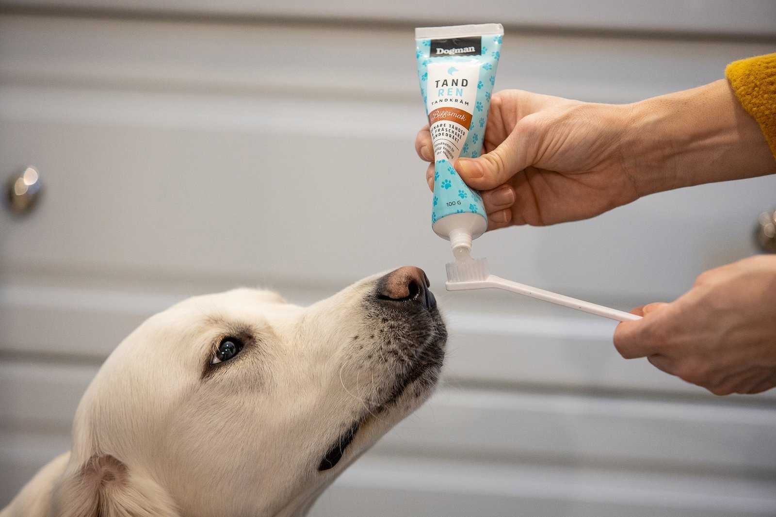 Dogman Tandkräm Biff 100 g