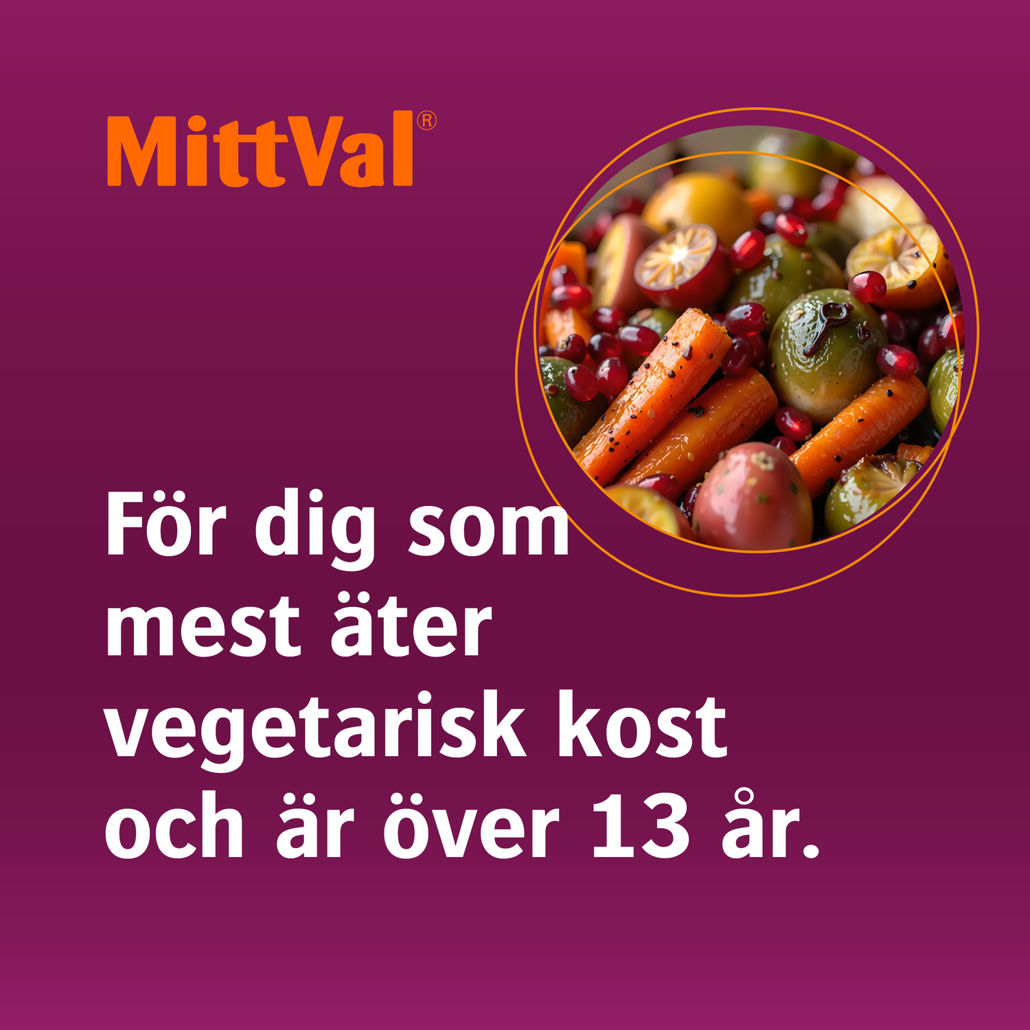 MittVal Vegetarian 100 tabletter