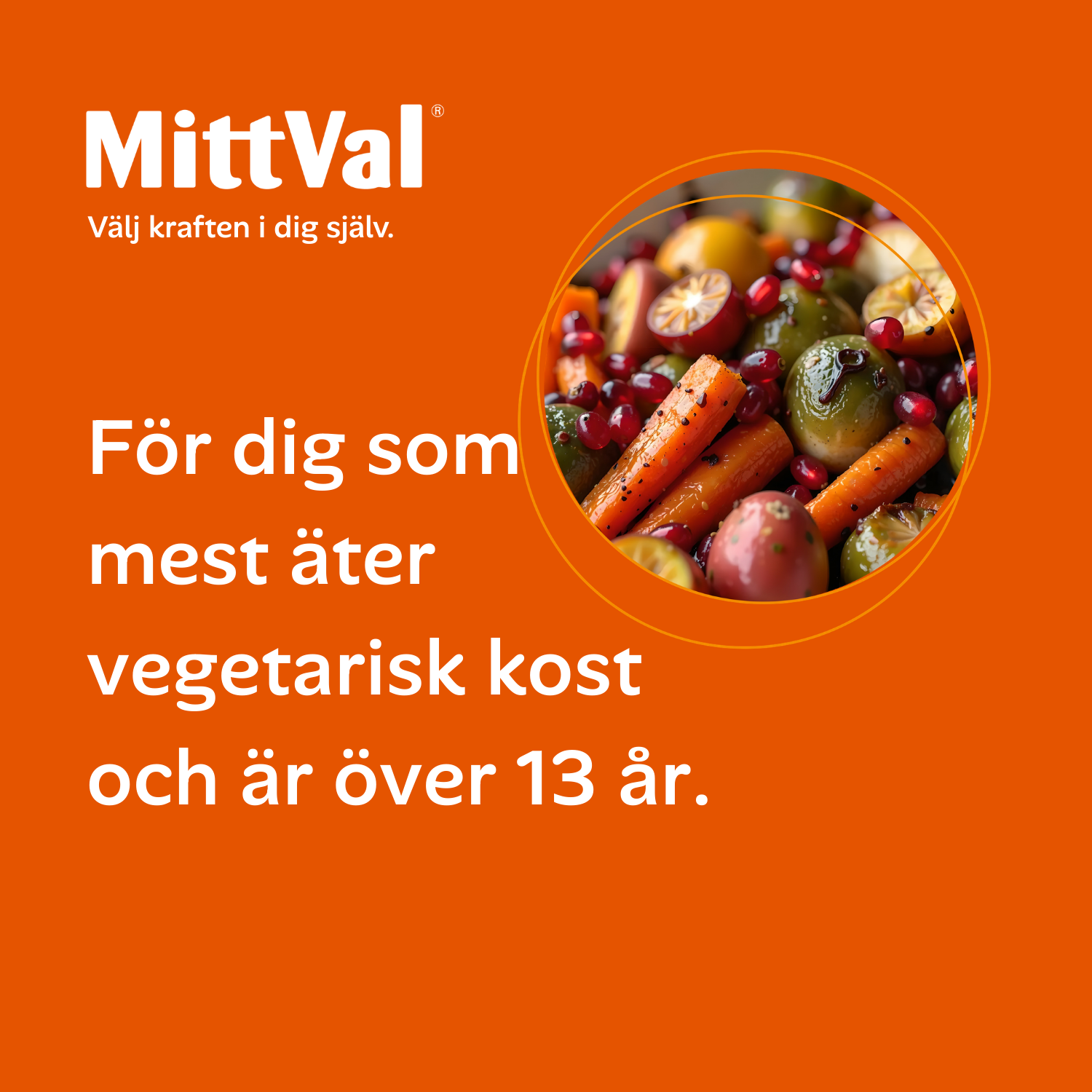 MittVal Vegetarian 100 tabletter