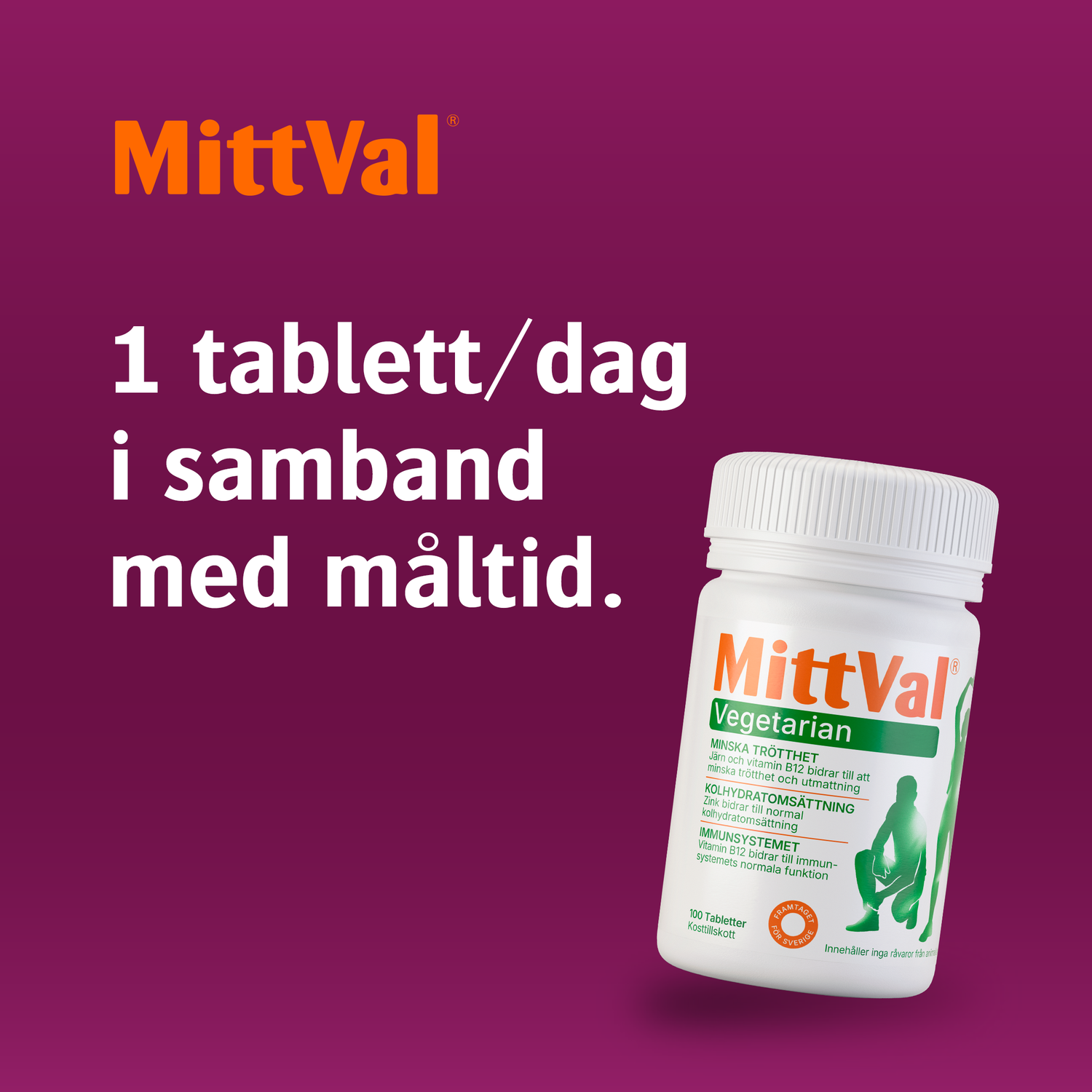 MittVal Vegetarian 100 tabletter