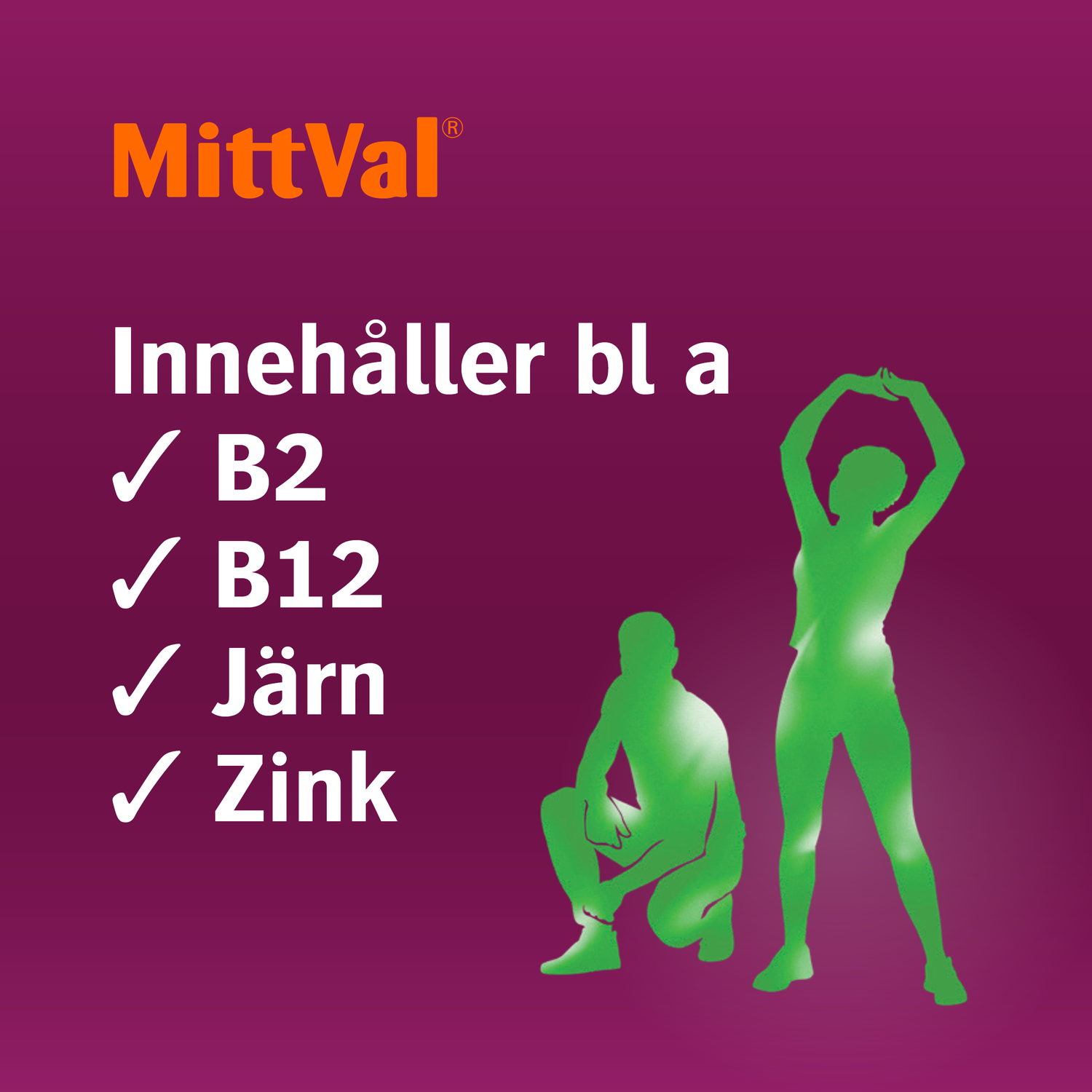 MittVal Vegetarian 100 tabletter
