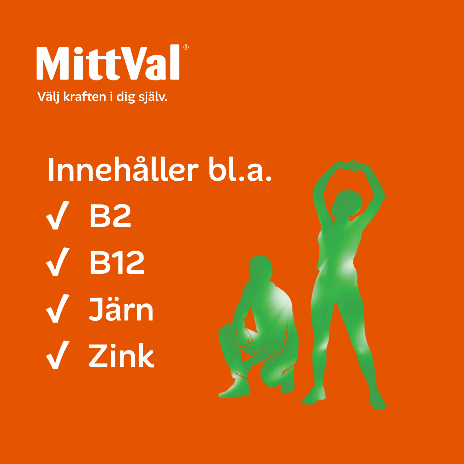 MittVal Vegetarian 100 tabletter