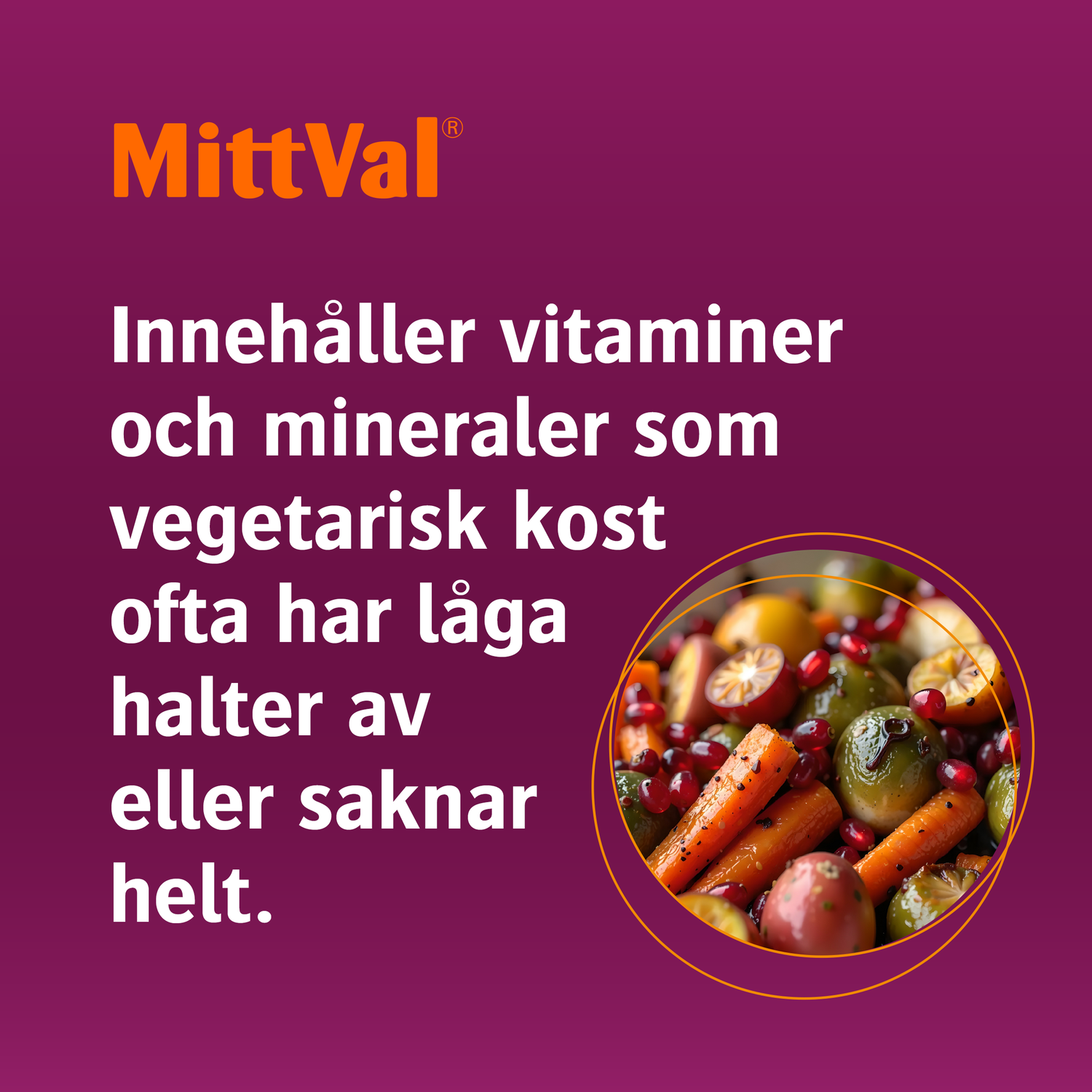 MittVal Vegetarian 100 tabletter