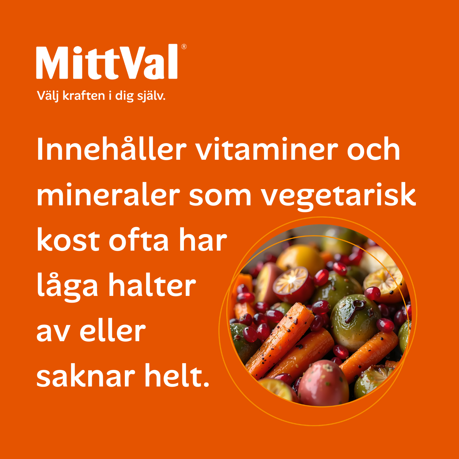 MittVal Vegetarian 100 tabletter