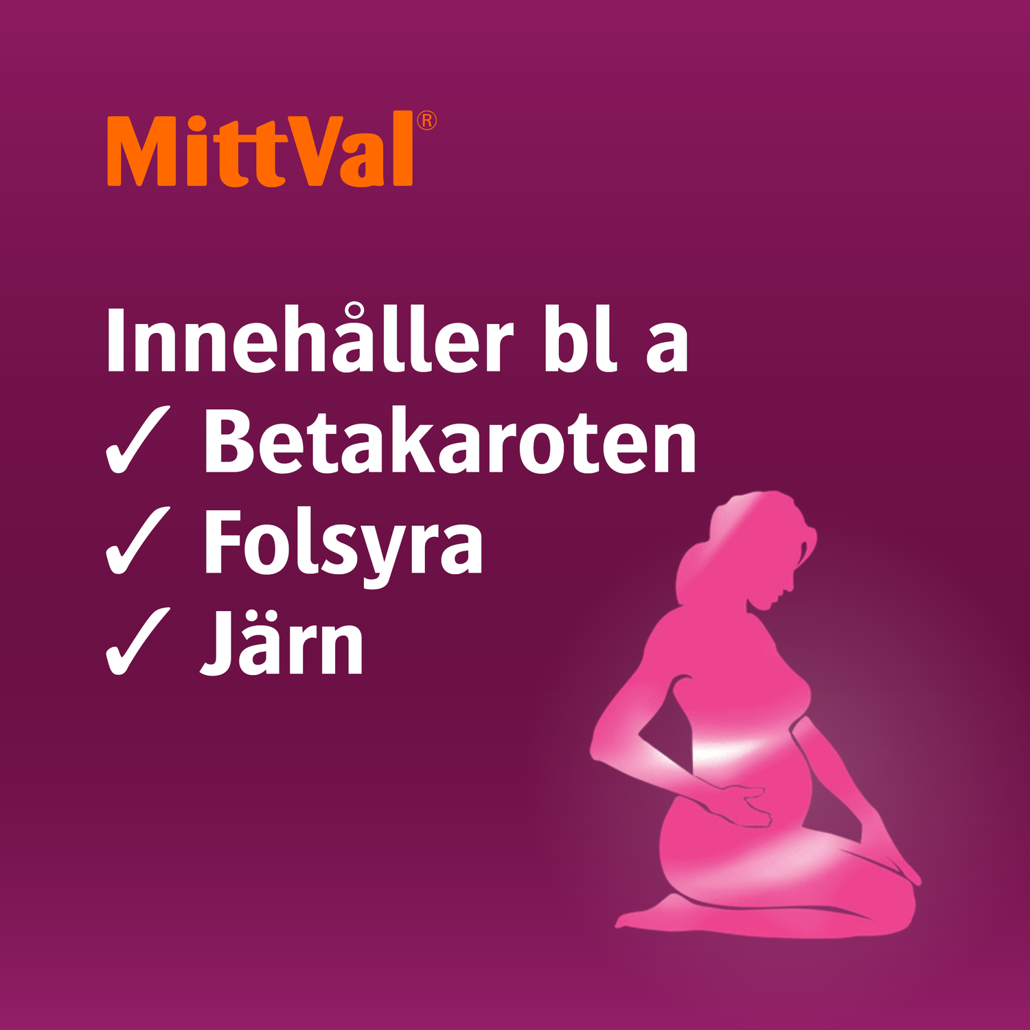 MittVal Gravid 100 tabletter