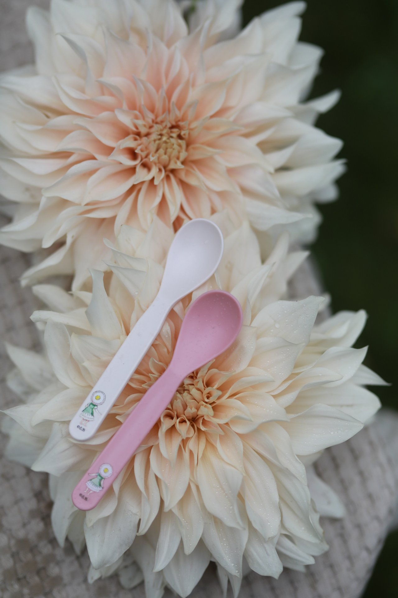 Rätt Start Beskow Blomsterfesten Skedar 2-pack