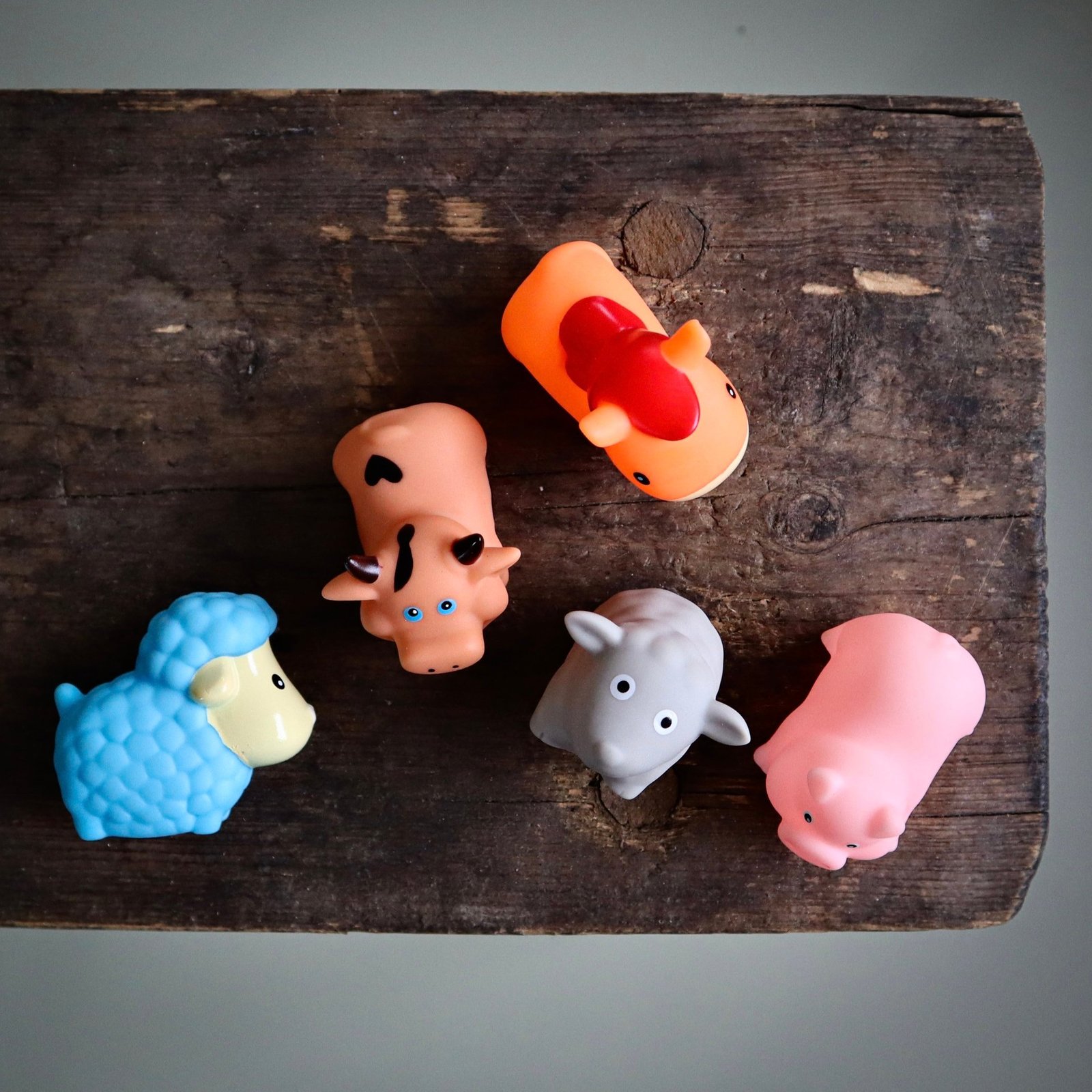 RÄTT START Badleksak Bondgårdsdjur 5 st