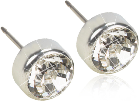 Blomdahl Örhängen ST Bezel 5 mm Crystal 1 par