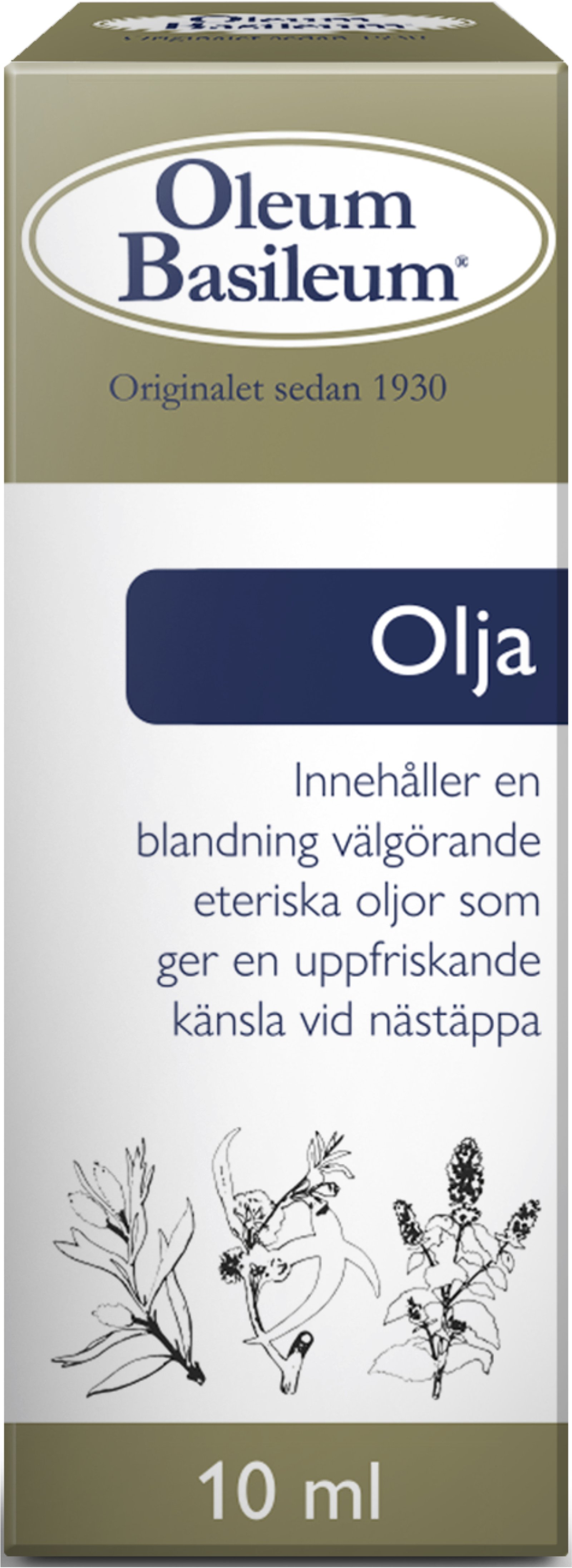 Oleum Basileum Olja 10 ml