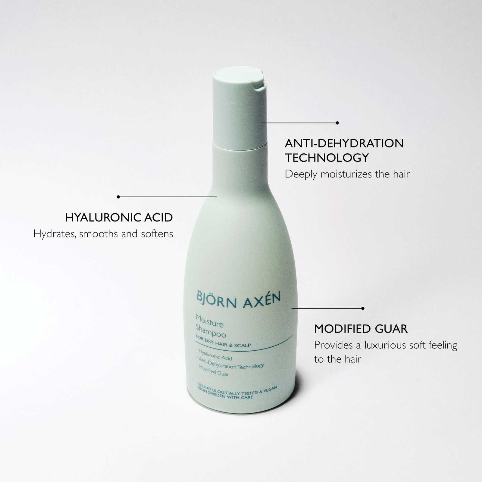 Björn Axén Moisture Shampoo 250 ml