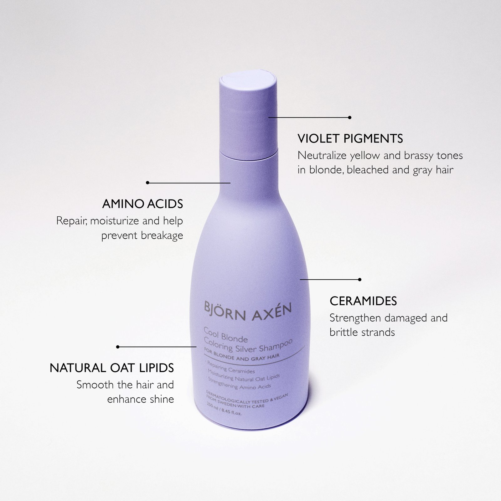 Björn Axén Cool Blonde Coloring Silver Shampoo 250 ml